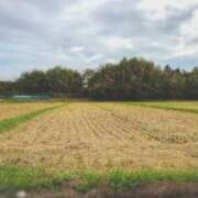 ヒメ日記 2025/10/22 22:07 投稿 ひまり ぷるるん小町 京橋店