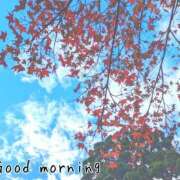 ヒメ日記 2025/11/15 07:15 投稿 ひまり ぷるるん小町 京橋店