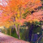 ヒメ日記 2025/11/20 07:15 投稿 ひまり ぷるるん小町 京橋店