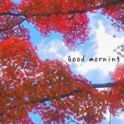 ヒメ日記 2025/11/29 07:15 投稿 ひまり ぷるるん小町 京橋店