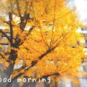 ヒメ日記 2025/12/04 07:15 投稿 ひまり ぷるるん小町 京橋店