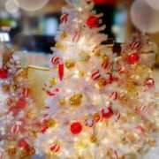 ヒメ日記 2025/12/15 07:15 投稿 ひまり ぷるるん小町 京橋店