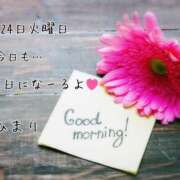 ヒメ日記 2026/02/24 07:15 投稿 ひまり ぷるるん小町 京橋店