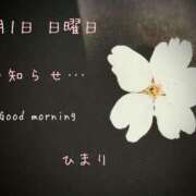 ヒメ日記 2026/03/01 11:00 投稿 ひまり ぷるるん小町 京橋店