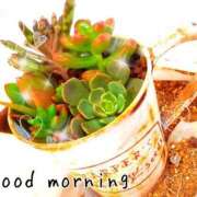 ヒメ日記 2026/03/03 07:15 投稿 ひまり ぷるるん小町 京橋店