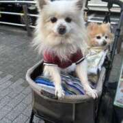 ヒメ日記 2025/01/22 13:40 投稿 ゆめ 奥鉄オクテツ東京店（デリヘル市場）