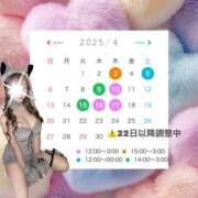 ヒメ日記 2025/04/03 12:21 投稿 れむ プリンセスセレクション姫路