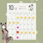 ヒメ日記 2025/10/03 13:53 投稿 れむ プリンセスセレクション姫路