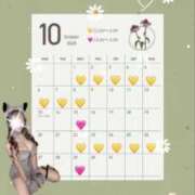 ヒメ日記 2025/10/03 14:04 投稿 れむ プリンセスセレクション姫路