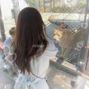 ヒメ日記 2025/10/25 22:34 投稿 れむ プリンセスセレクション姫路