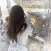 れむ 💌お礼/30日の🈳 プリンセスセレクション姫路