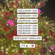 ヒメ日記 2025/12/13 12:22 投稿 れむ プリンセスセレクション姫路