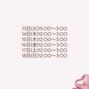 れむ 💞エロに忠実だった日 プリンセスセレクション姫路