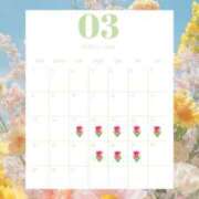 れむ 🌷3Pレポ告知🗒️3月出勤情報 プリンセスセレクション姫路