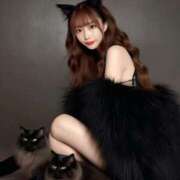 ヒメ日記 2025/03/23 12:04 投稿 ひな コートダジュール