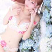 ヒメ日記 2025/03/23 16:00 投稿 ひな コートダジュール