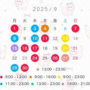 ヒメ日記 2025/08/22 17:00 投稿 ひな コートダジュール