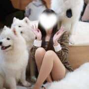 ヒメ日記 2025/11/24 12:02 投稿 ひな コートダジュール