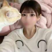 ヒメ日記 2025/11/27 17:02 投稿 ひな コートダジュール