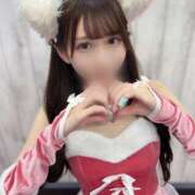 ヒメ日記 2025/11/30 11:05 投稿 ひな コートダジュール