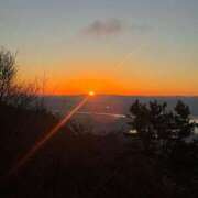 ヒメ日記 2026/01/12 23:10 投稿 愛沢 こはく AZITO V.I.P