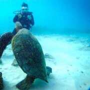 ヒメ日記 2024/12/21 08:54 投稿 薫英花 プレジデントハウス