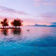 ヒメ日記 2025/02/07 10:55 投稿 薫英花 プレジデントハウス