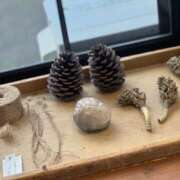 ヒメ日記 2025/02/22 12:12 投稿 なぎさ クラブリリー