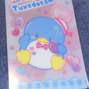 ヒメ日記 2025/04/23 11:58 投稿 なぎさ クラブリリー