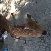 ヒメ日記 2025/05/08 12:08 投稿 なぎさ クラブリリー