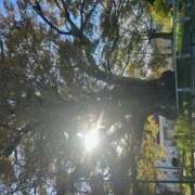 ヒメ日記 2025/05/22 12:04 投稿 なぎさ クラブリリー