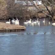 ヒメ日記 2026/02/21 07:54 投稿 あおい 人妻恋愛サークル