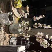 ヒメ日記 2025/03/19 13:08 投稿 Risa Yuuki ELEGANT－エレガント－