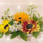 ヒメ日記 2025/06/20 16:27 投稿 Risa Yuuki ELEGANT－エレガント－