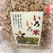 ヒメ日記 2026/02/12 01:32 投稿 Risa Yuuki ELEGANT－エレガント－