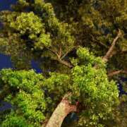 ヒメ日記 2026/04/29 13:43 投稿 Risa Yuuki ELEGANT－エレガント－