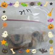 ヒメ日記 2025/10/31 10:50 投稿 みけ 熟女の風俗最終章 本厚木店