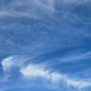 ヒメ日記 2025/11/04 17:32 投稿 みけ 熟女の風俗最終章 本厚木店