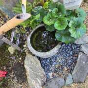 ヒメ日記 2025/11/07 18:05 投稿 みけ 熟女の風俗最終章 本厚木店