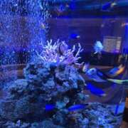 ヒメ日記 2025/11/12 23:14 投稿 みけ 熟女の風俗最終章 本厚木店