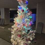 ヒメ日記 2025/11/19 10:23 投稿 みけ 熟女の風俗最終章 本厚木店