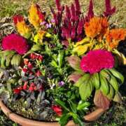 ヒメ日記 2025/11/22 20:21 投稿 みけ 熟女の風俗最終章 本厚木店