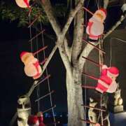 ヒメ日記 2025/11/26 10:51 投稿 みけ 熟女の風俗最終章 本厚木店