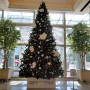 ヒメ日記 2025/12/03 05:01 投稿 みけ 熟女の風俗最終章 本厚木店