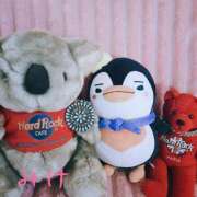 ヒメ日記 2025/12/03 10:41 投稿 みけ 熟女の風俗最終章 本厚木店