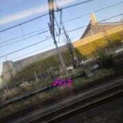 ヒメ日記 2026/03/21 06:51 投稿 みけ 熟女の風俗最終章 本厚木店