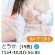 ヒメ日記 2025/03/03 14:26 投稿 とうか E+アイドルスクール池袋店