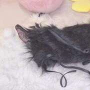 ヒメ日記 2025/11/02 22:24 投稿 とうか E+アイドルスクール池袋店