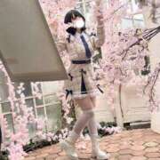 ヒメ日記 2026/04/04 16:46 投稿 とうか E+アイドルスクール池袋店