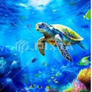 ヒメ日記 2025/05/03 22:18 投稿 みそら 厚木人妻城